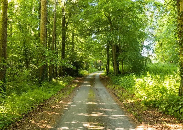 The Manor Stables At Moyglare Manor Maynooth